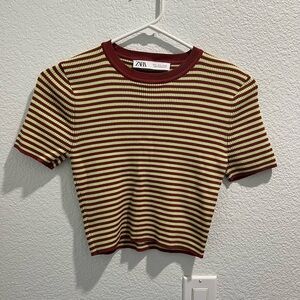 Zara striped crop top